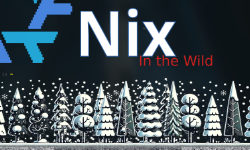 Featured image of post Nix in the Wild: Exploring the Power of Nix for Organizational Codebases