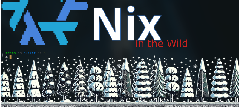 Featured image of post Nix in the Wild: Exploring the Power of Nix for Organizational Codebases