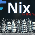 Nix in the Wild: Exploring the Power of Nix for Organizational Codebases