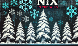 Featured image of post Nix in the Wild: Nixing Your Codebase