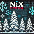 Nix in the Wild: Nixing Your Codebase